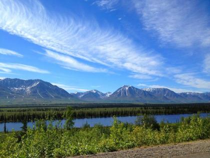 Denali Cabins - image 11