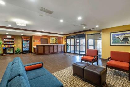 Comfort Suites McKinney-Allen - image 12