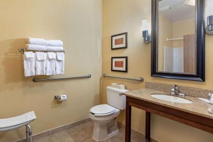 Comfort Suites McKinney-Allen - image 4