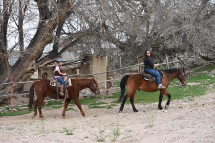 Grand Canyon Western Ranch - image 14