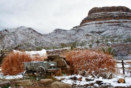 Grand Canyon Western Ranch - image 3