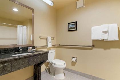 Comfort Inn Mechanicsburg – Harrisburg South - image 6