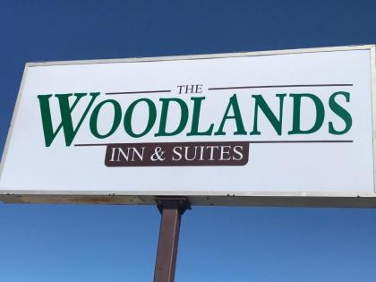 Woodland Inn & Suites - image 10