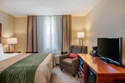 Comfort Inn Medford North - image 2