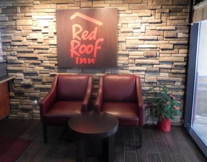 Red Roof Inn Cleveland - Medina - image 11