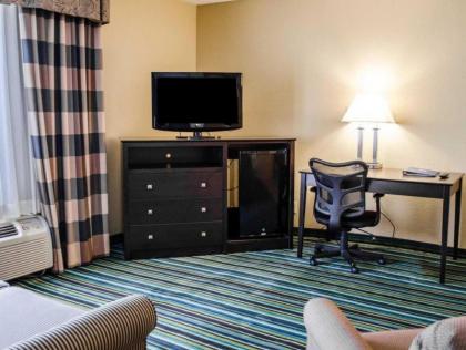 Quality Inn & Suites Medina- Akron West - image 6