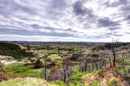 Badlands Suite - Walk to Roosevelt National Park - image 4