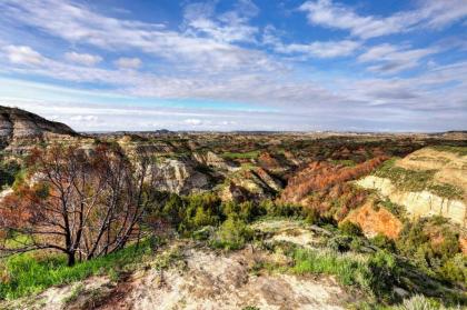 Badlands Suite - Walk to Roosevelt National Park - image 7