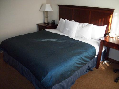 Homewood Suites by Hilton Memphis East - image 4