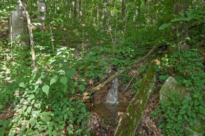 Charming Tree House Cottage on Lookout Mountain! - image 8