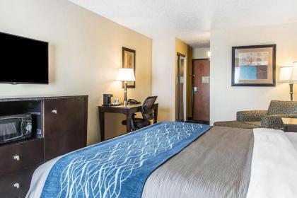 Comfort Inn & Suites - image 6