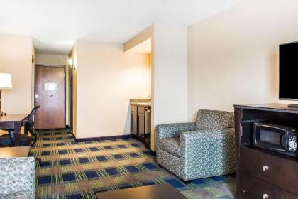 Comfort Inn & Suites - image 9