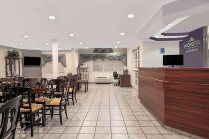 Microtel Inn & Suites - Meridian - image 13