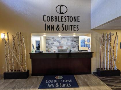 Cobblestone Inn & Suites - Merrill - image 14