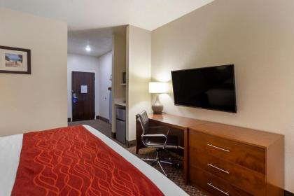 Comfort Inn Hobart - Merrillville - image 10