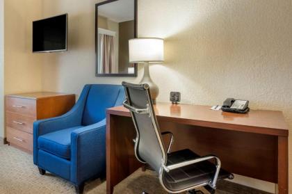 Comfort Suites Merrillville - image 12