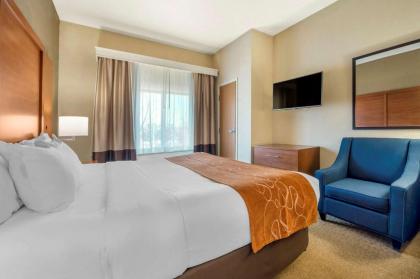 Comfort Suites Merrillville - image 13