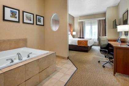 Comfort Suites Merrillville - image 15