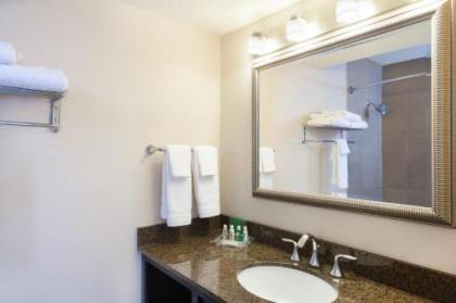 Holiday Inn Metairie New Orleans Airport - image 9