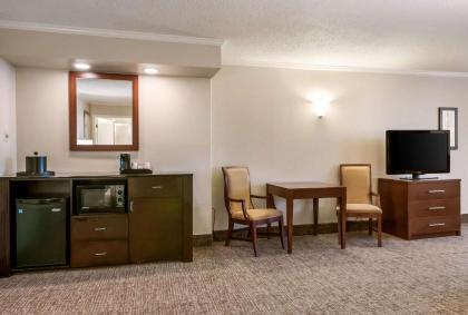 Comfort Inn & Suites At Copeland Tower - image 14