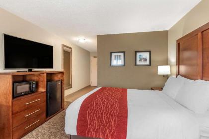 Comfort Inn & Suites - image 7