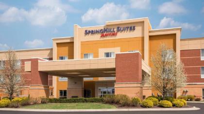 SpringHill Suites midland midland