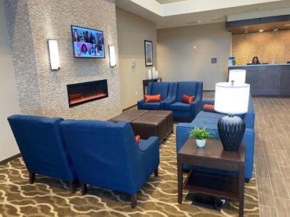 Comfort Suites Midland West - image 4