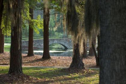 Little Ocmulgee State Park and Lodge - image 4