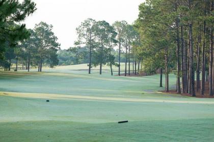 Little Ocmulgee State Park and Lodge - image 5