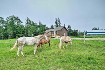 Historic Cottage on Horse Farm FirePit and BBQ - image 11