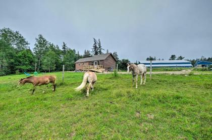 Historic Cottage on Horse Farm FirePit and BBQ - image 8