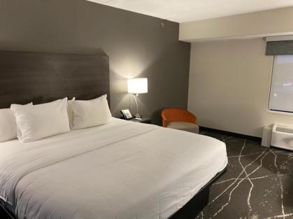 Comfort Inn - image 3