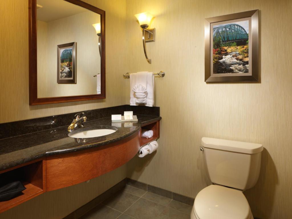 Hilton Garden Inn Milford - image 7