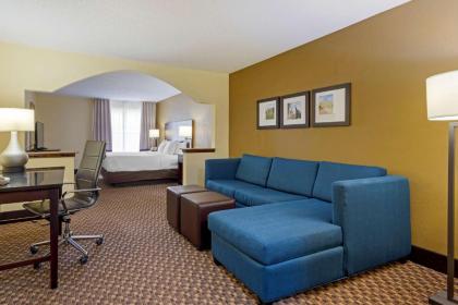 Comfort Suites Milledgeville - image 8