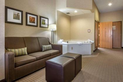 Comfort Suites Hotel and Conference Center - image 12