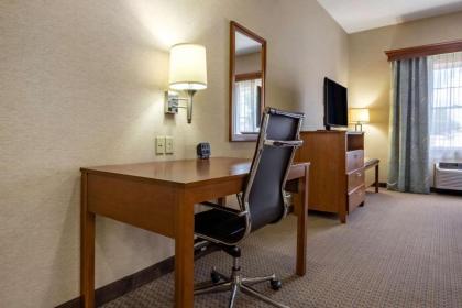 Comfort Suites Hotel and Conference Center - image 13