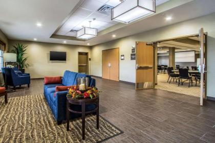 Comfort Suites Hotel and Conference Center - image 3