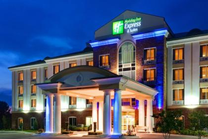 Holiday Inn Express Hotel & Suites Millington-Memphis Area an IHG Hotel - image 11