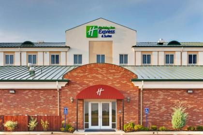 Holiday Inn Express Hotel & Suites Millington-Memphis Area an IHG Hotel - image 16