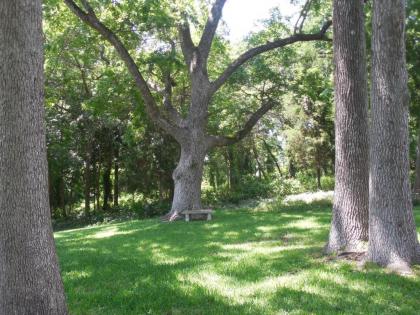 Dogwood Springs Lodgings - image 10