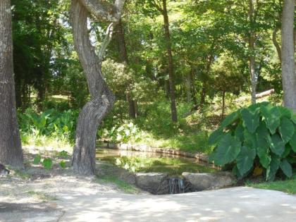 Dogwood Springs Lodgings - image 8