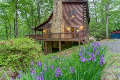 Holiday homes in mineral Bluff Georgia