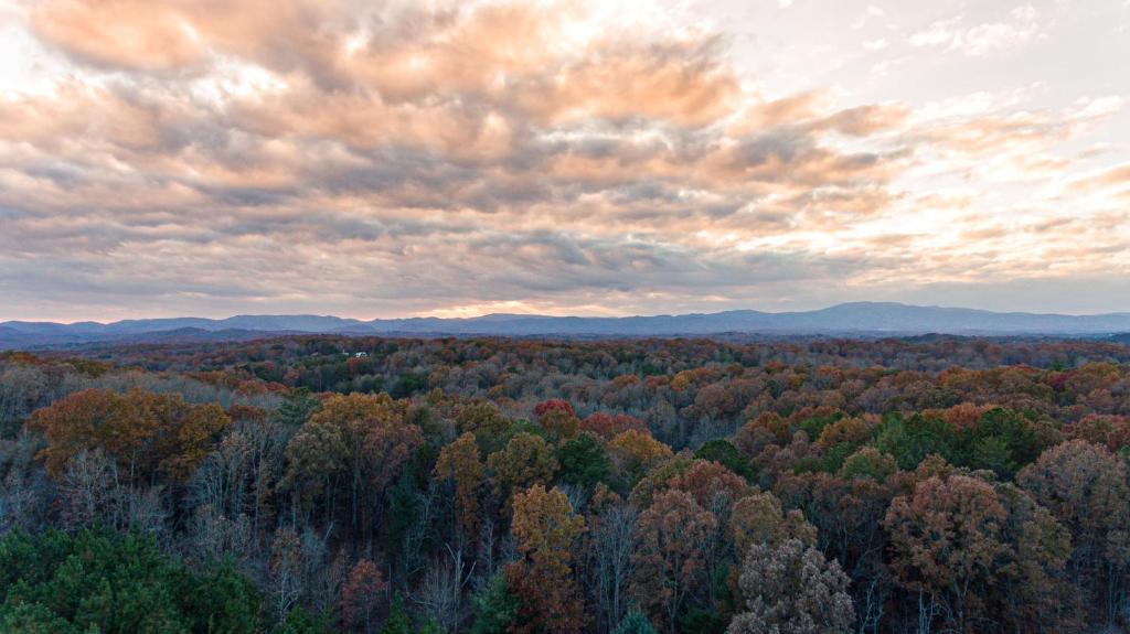 EAGLES CREST - Long Range Layered Mountain Views in peaceful neighborhood! - image 5