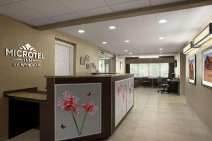 Microtel Inn & Suites By Wyndham Mineral Wells/Parkersburg - image 8