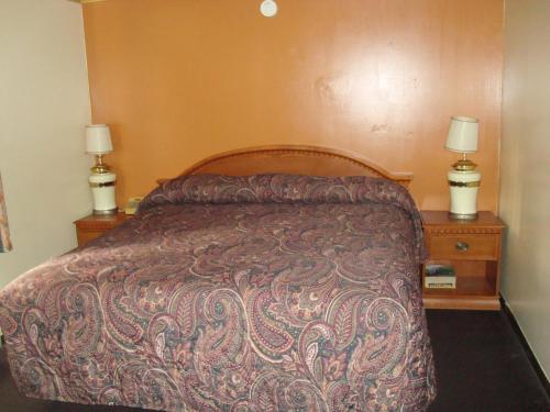 Snelling Motor Inn - image 2