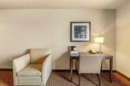 Comfort Inn & Suites - image 10