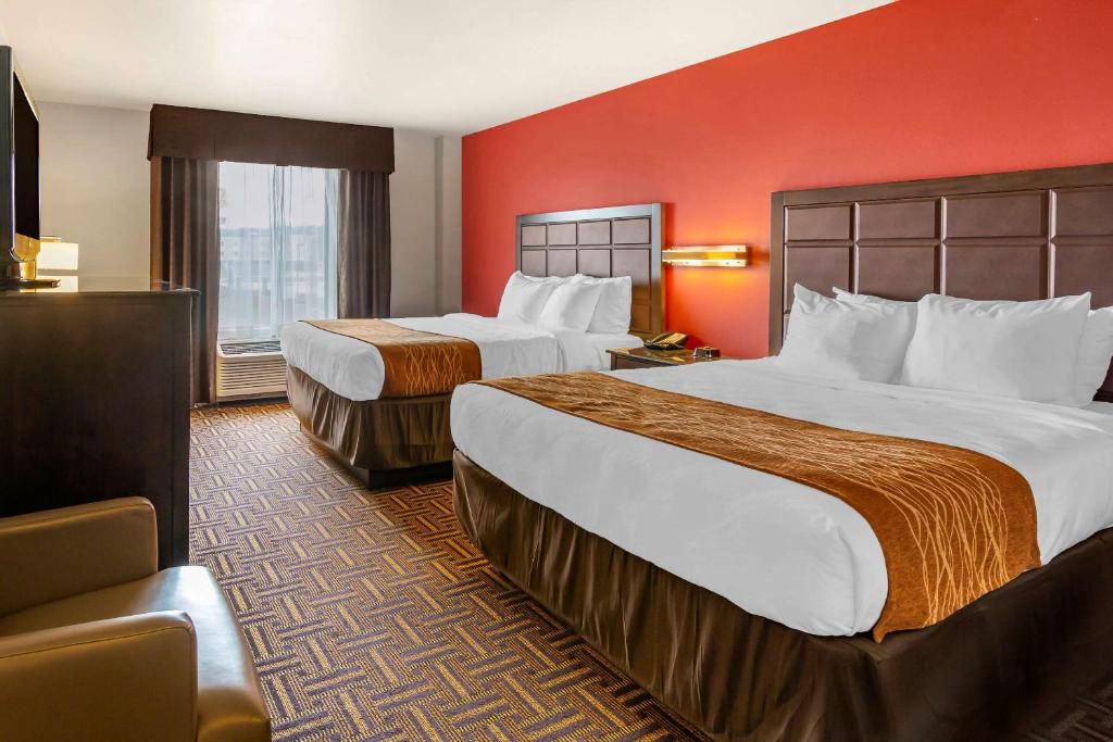 Comfort Inn & Suites - image 4