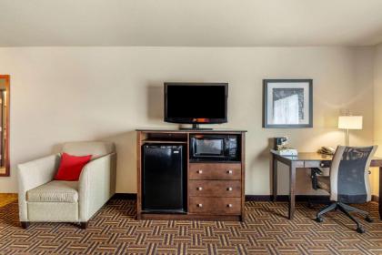 Comfort Inn & Suites - image 8