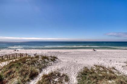 Sand Dollar - image 2