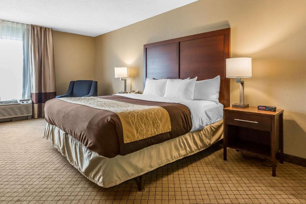 Comfort Inn & Suites Mishawaka-South Bend - image 7